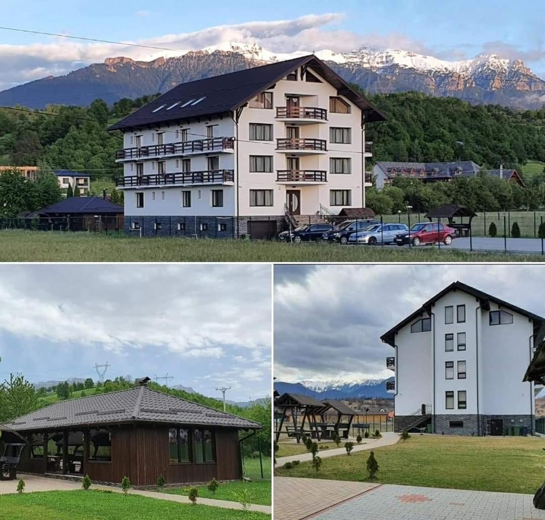 Burghaus Bran Hotel Törcsvár Kültér fotó